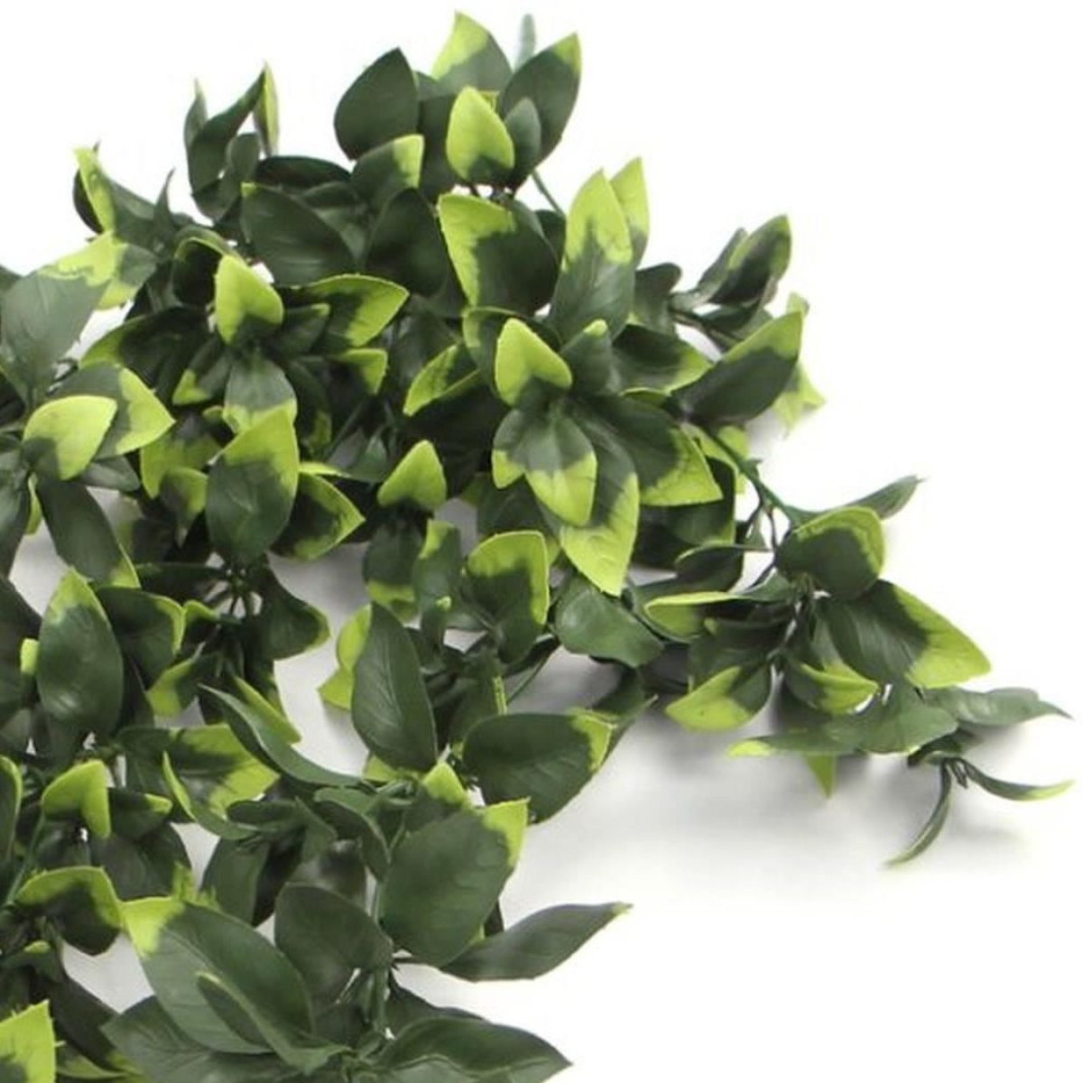 6 x 71cm Medium Artificial Hanging Pothos Plants – UV & Fire Resistant Greenery Set