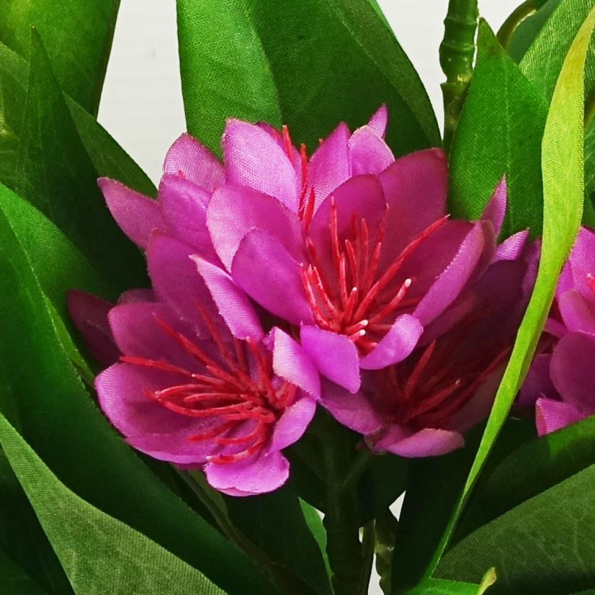 6 x 18cm Small Artificial Freesia Flowers Assorted Colours – Indoor Flowering Plants