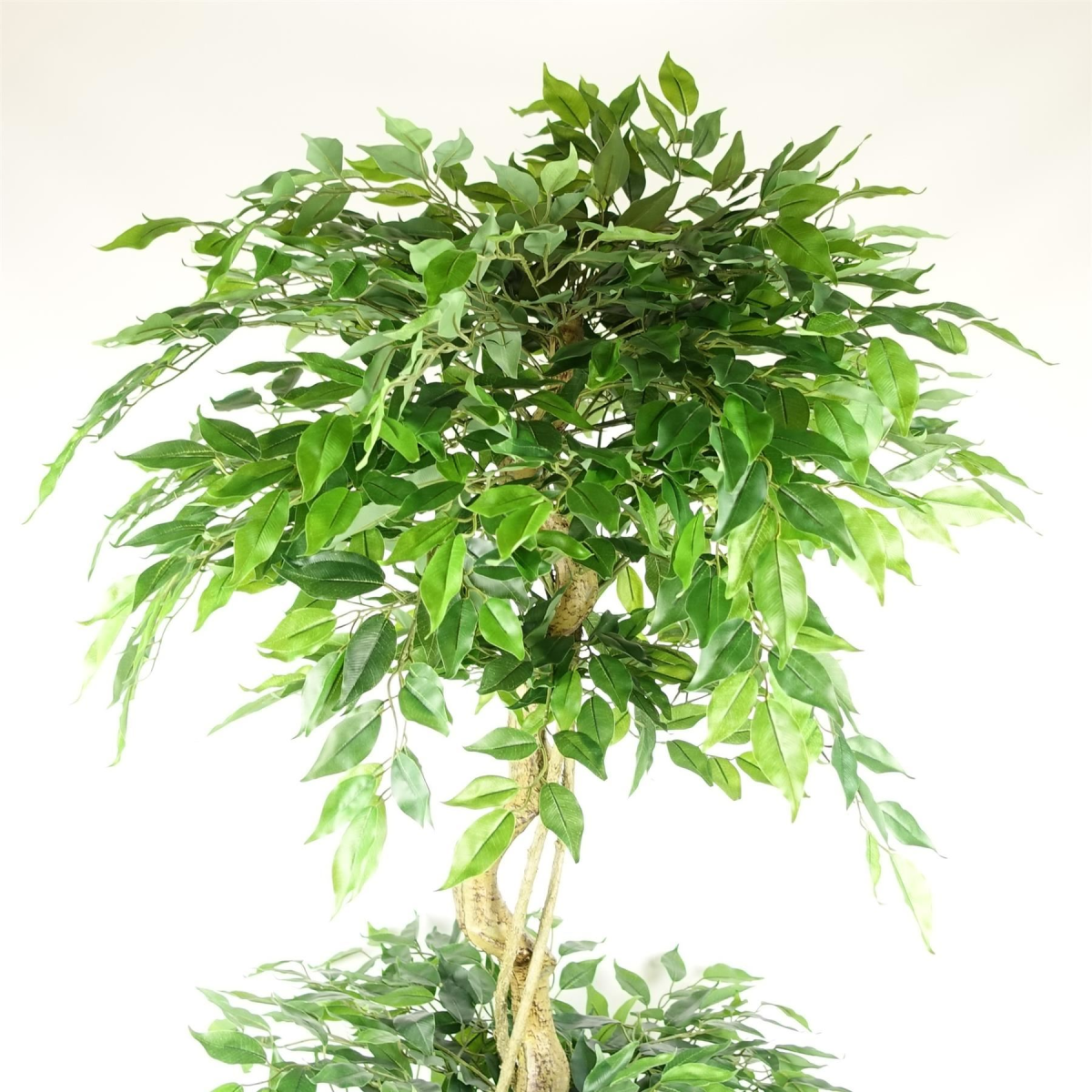 180cm Large Artificial Ficus Tree – Twisted Trunk Fruticosa Style 3 Tier Design with Silver Metal Planter