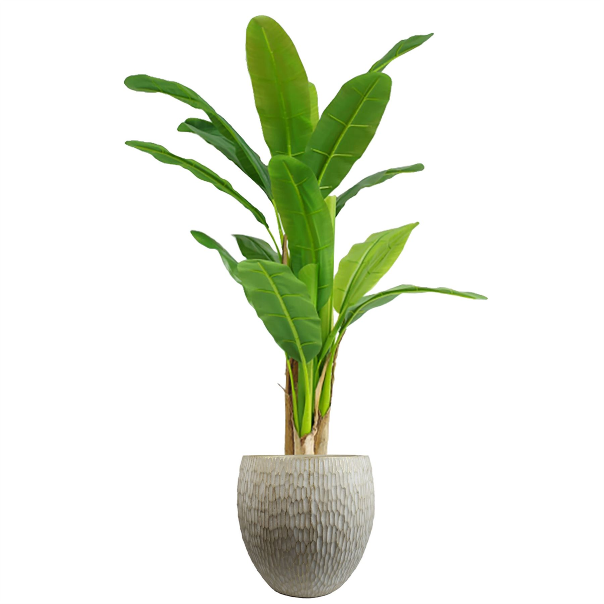 43cm x 43cm Extra Large Inoke Stone-Effect Composite Planter – Premium Indoor Plant Pot