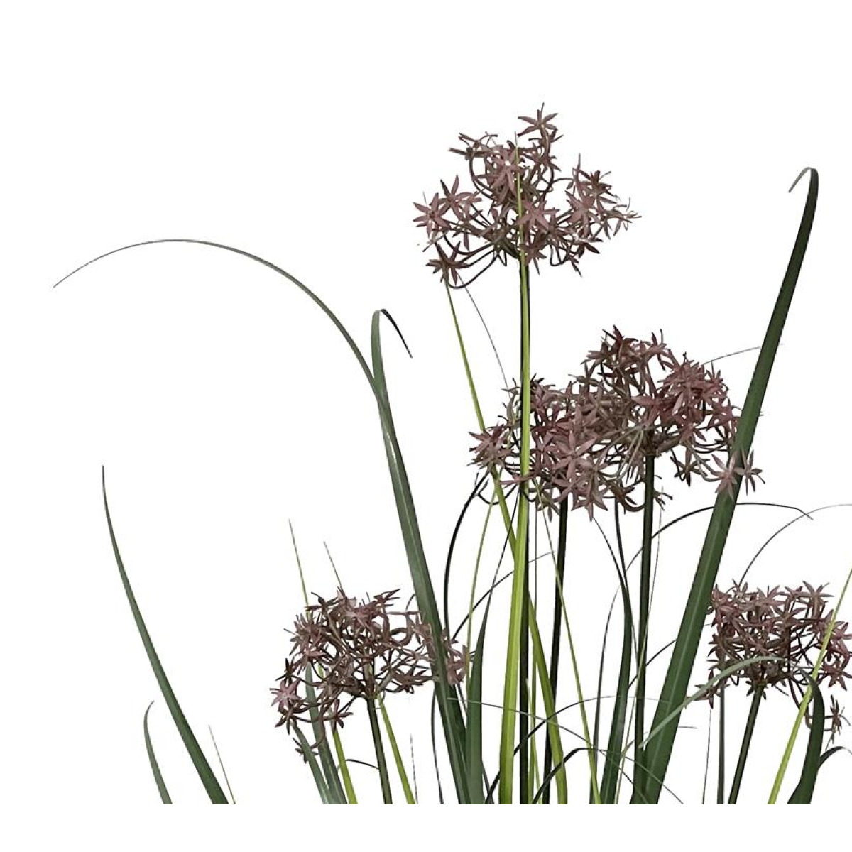 95cm Large Artificial Grass Plant with Flower Detail – Faux Grass Plant