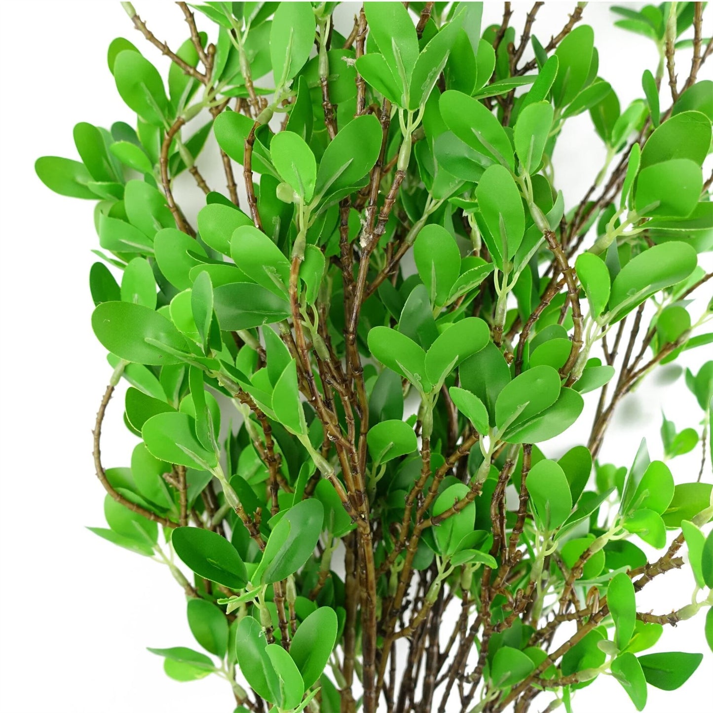6 x 100cm Artificial Mini Leaf Ficus Plant Stems – Realistic Faux Foliage
