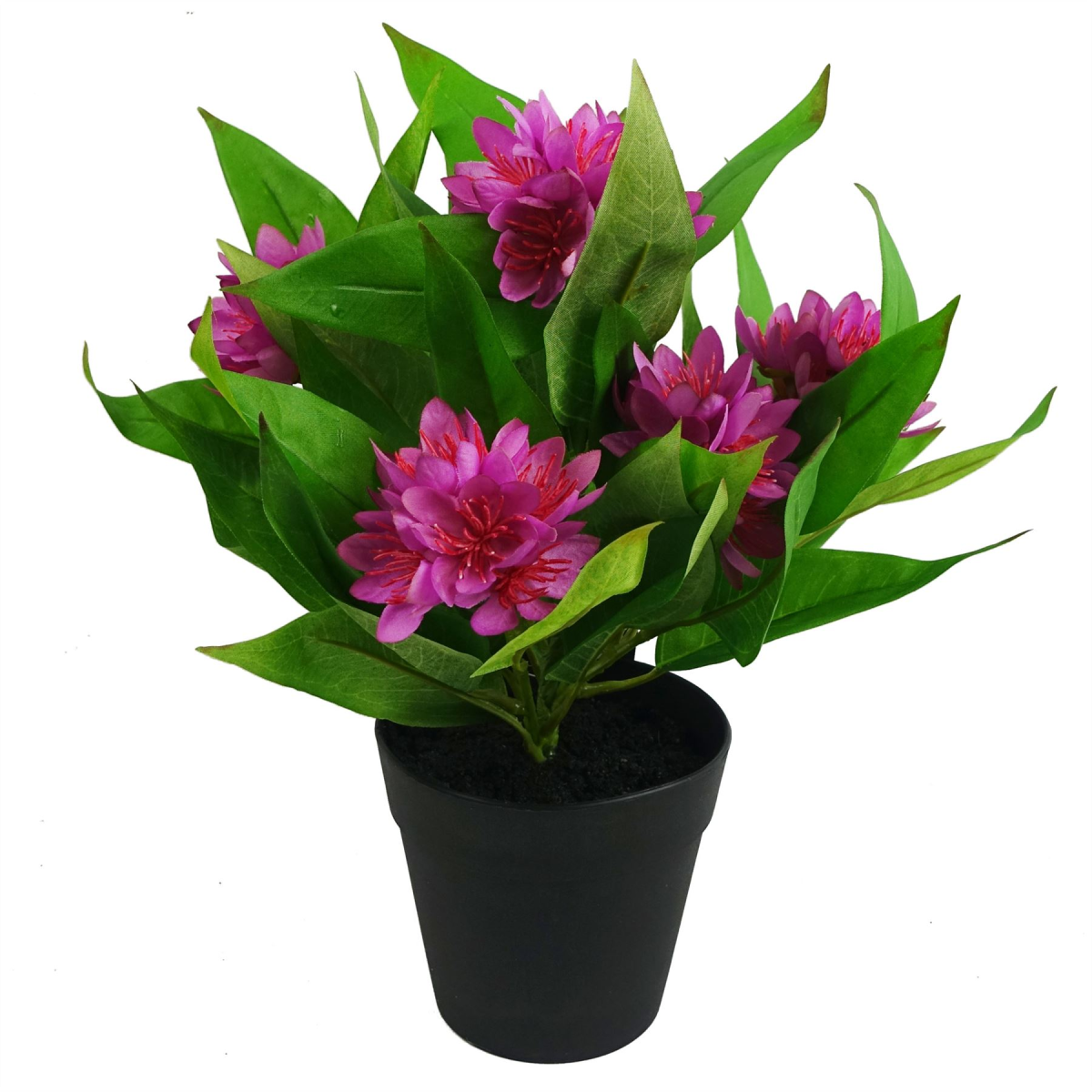 6 x 18cm Small Artificial Freesia Flowers Assorted Colours – Indoor Flowering Plants