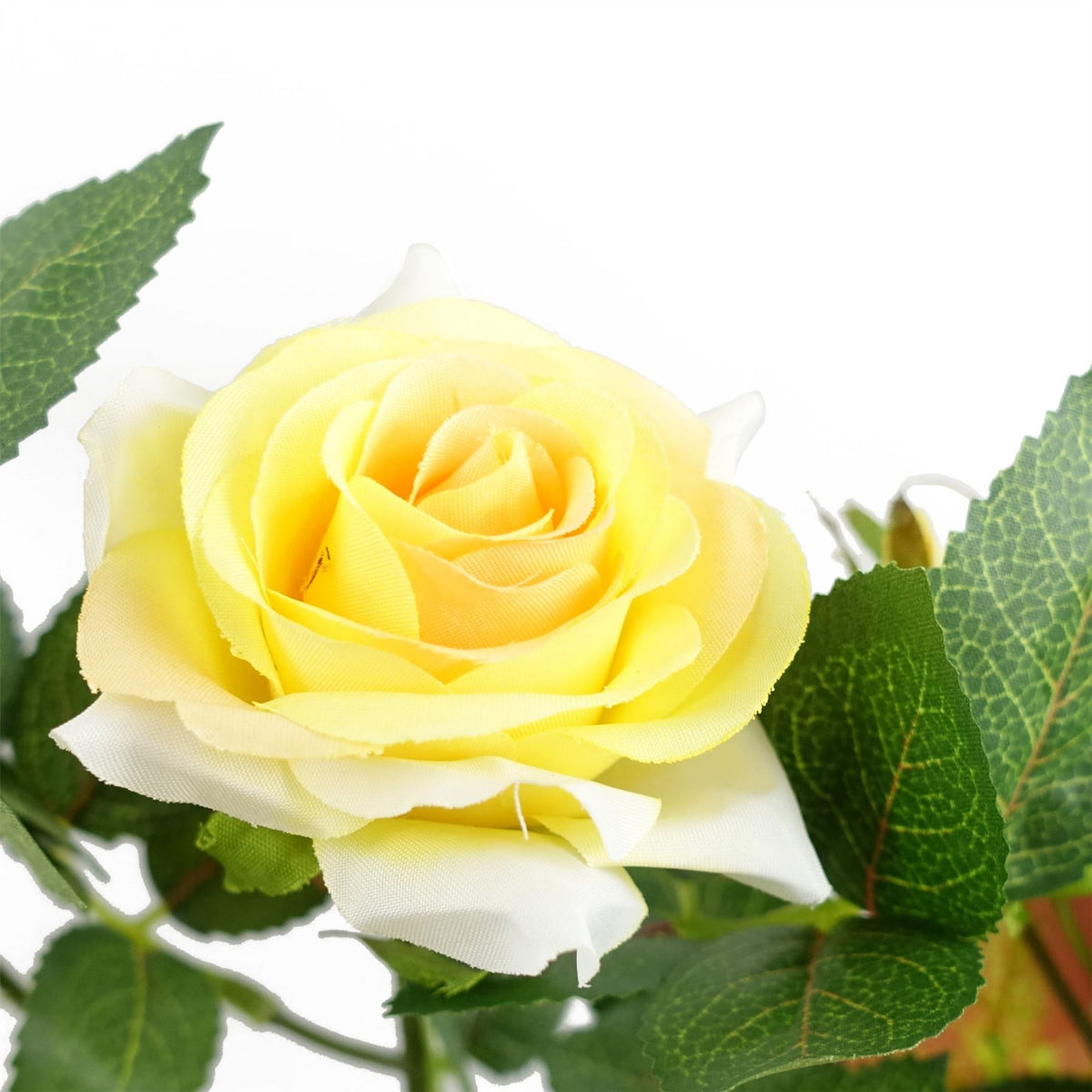 50cm Small Artificial Yellow Rose Plant – Realistic Yellow Blooms with White Decorative Planter