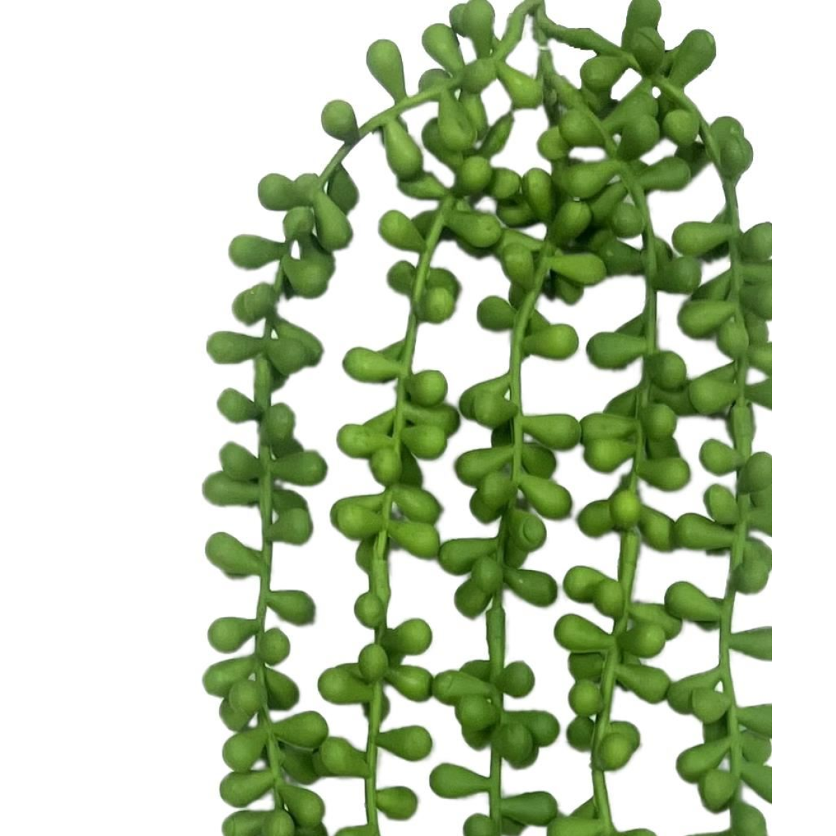 6 x 70cm Medium Artificial String of Pearls Hanging Plants – Faux Trailing Foliage Set