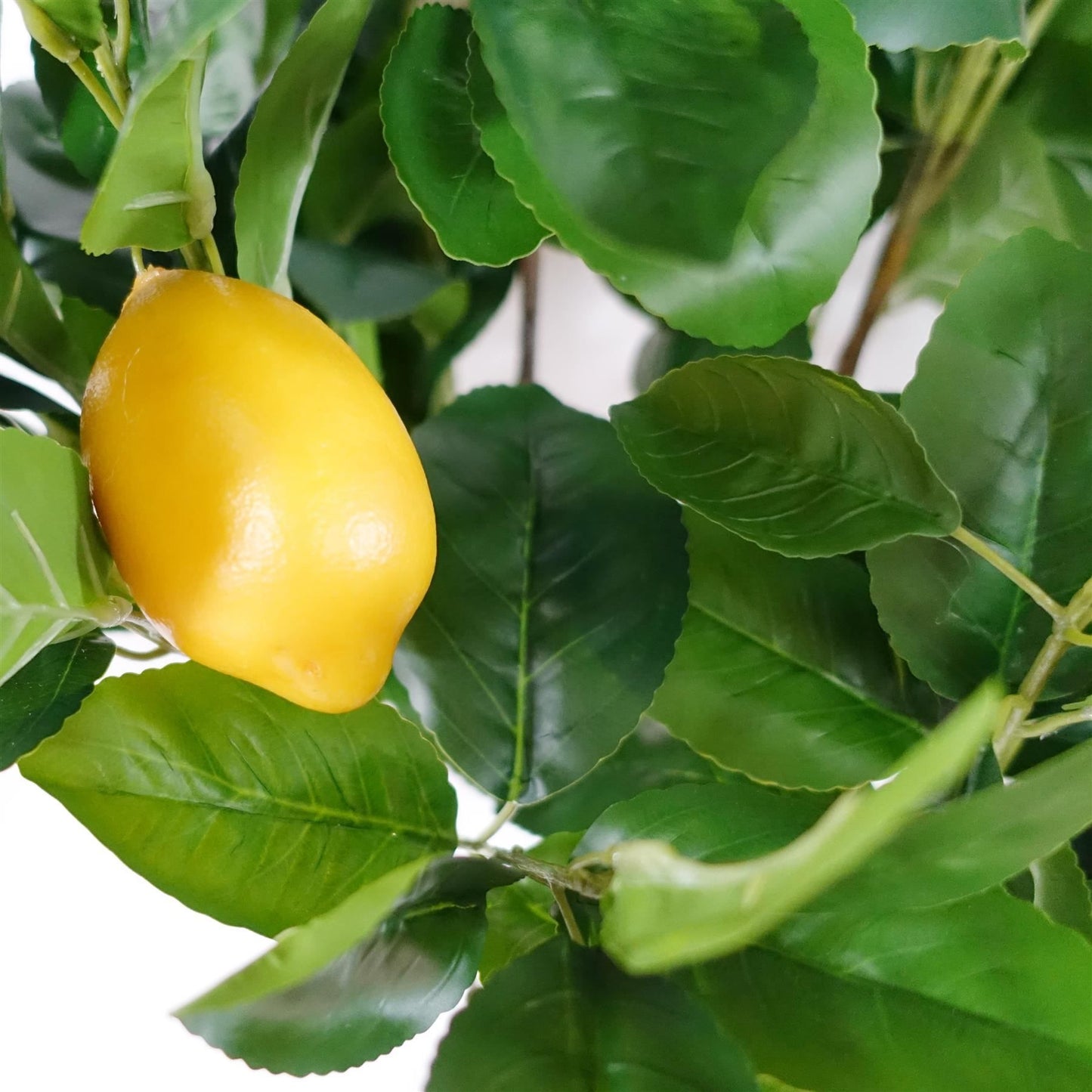 150cm Large Artificial Lemon Tree – Realistic Faux Lemon Tree for Mediterranean-Inspired Décor