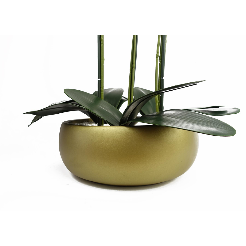 60cm Medium Black Artificial Orchid in Gold Ceramic Planter – Elegant Realistic Design