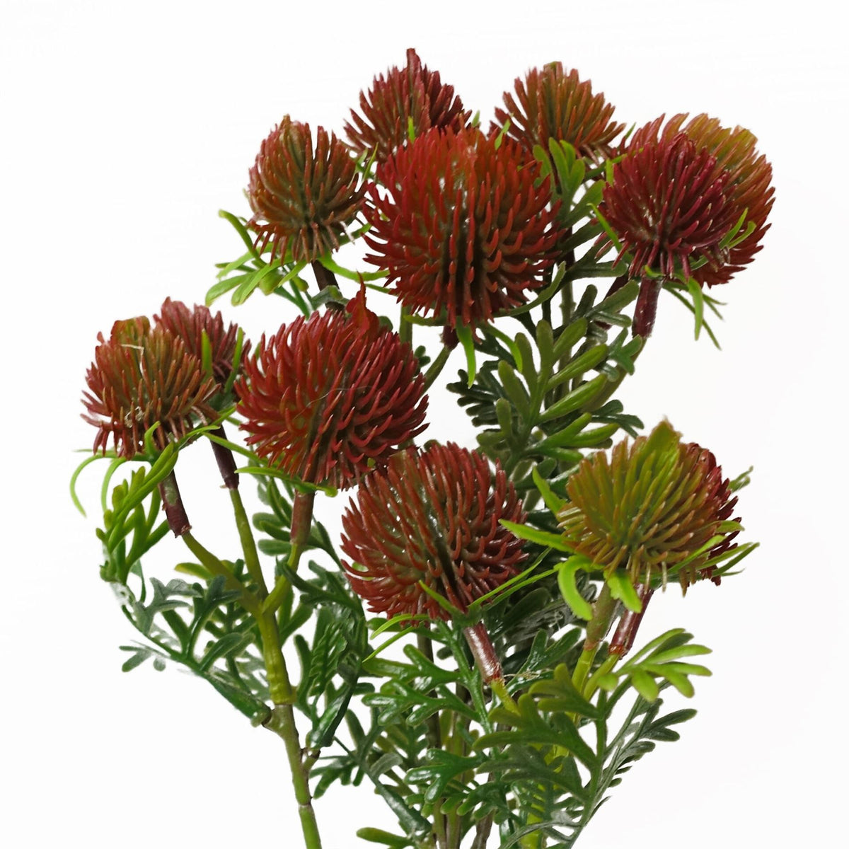 6 x 55cm Small Artificial Red Craspedia Flowers – Realistic Faux Stems