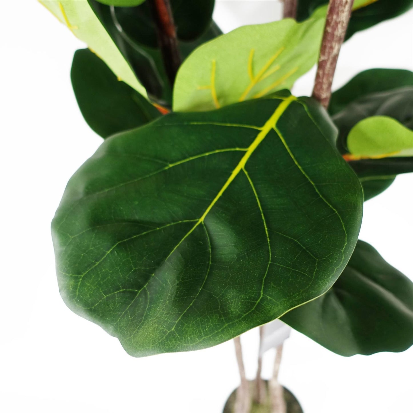 180cm Large Artificial Fiddle Leaf Fig Tree – Premium Indoor Ficus Plant