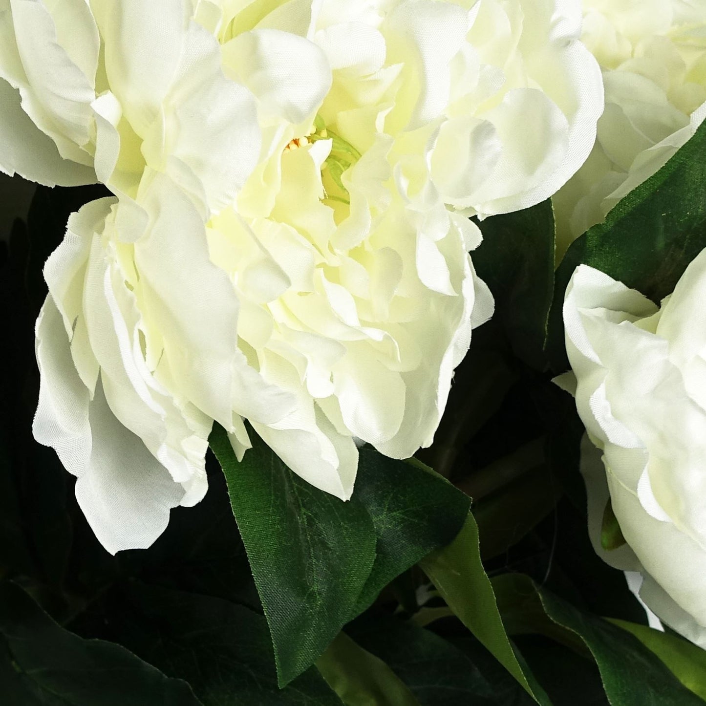 6 x 80cm Medium Artificial White Peony Stems – Realistic Faux Peony Flower Set