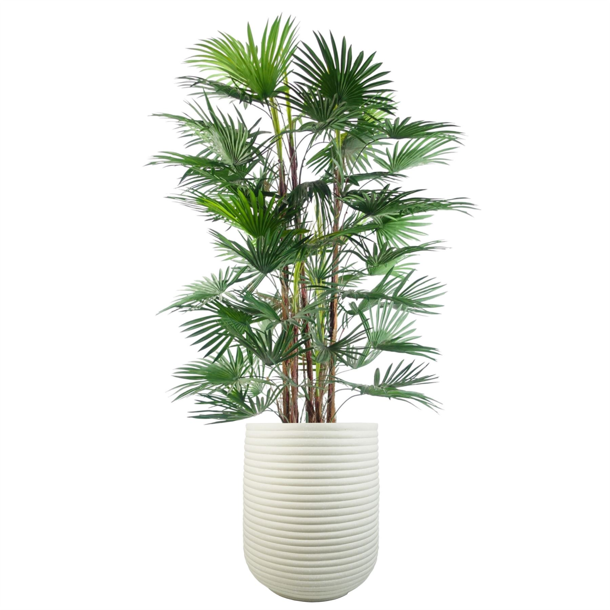 46cm x 40cm Extra Large Mikos Ridged Composite Planter – Stone Effect Indoor Planter