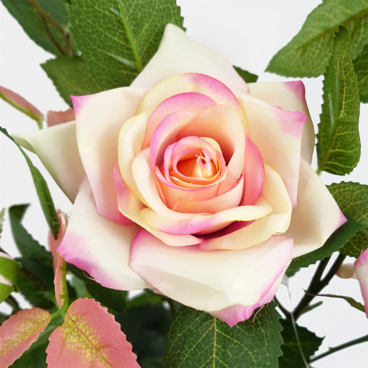 50cm Small Artificial Pink Rose Plant – Realistic Pink Blooms with White Decorative Planter