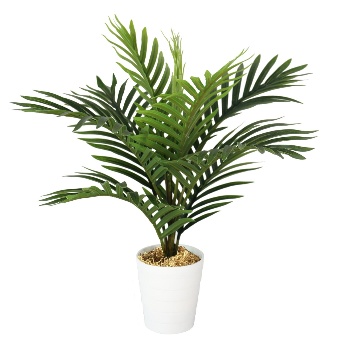 6 x 50cm Small Artificial Palm Trees – Realistic Mini Palms with White Pots
