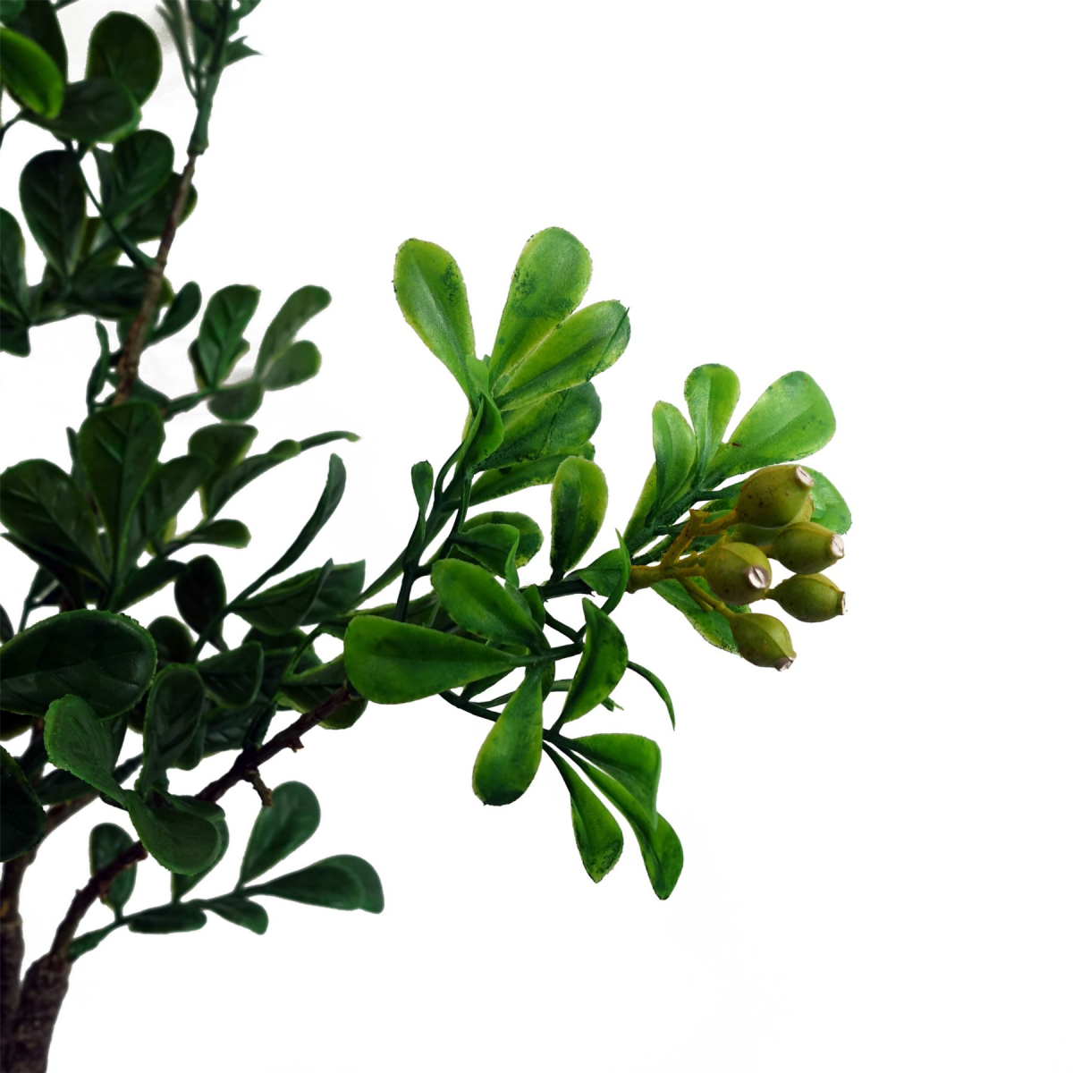 60cm Artificial Aglaia Odorata Bonsai Ficus Tree – Realistic Faux Bonsai with Decorative Pot