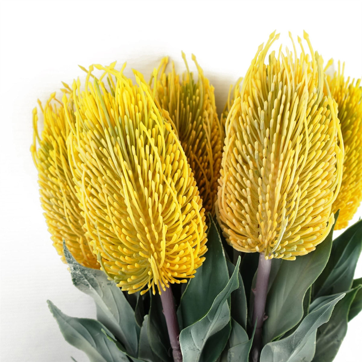 75cm Medium Artificial Yellow Banksia Menziesii Flower – Realistic Faux Stem