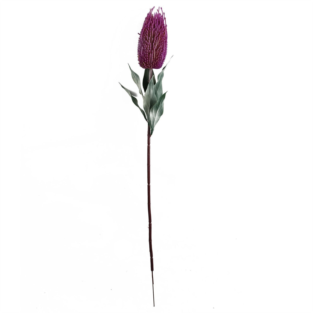 75cm Medium Artificial Pink Banksia Menziesii Flower – Realistic Faux Stem