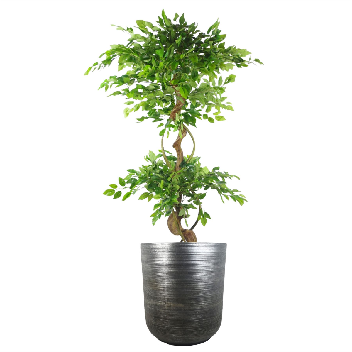 47cm x 41cm Extra Large Silver Ridged Composite Planter – Indoor Plant Pot