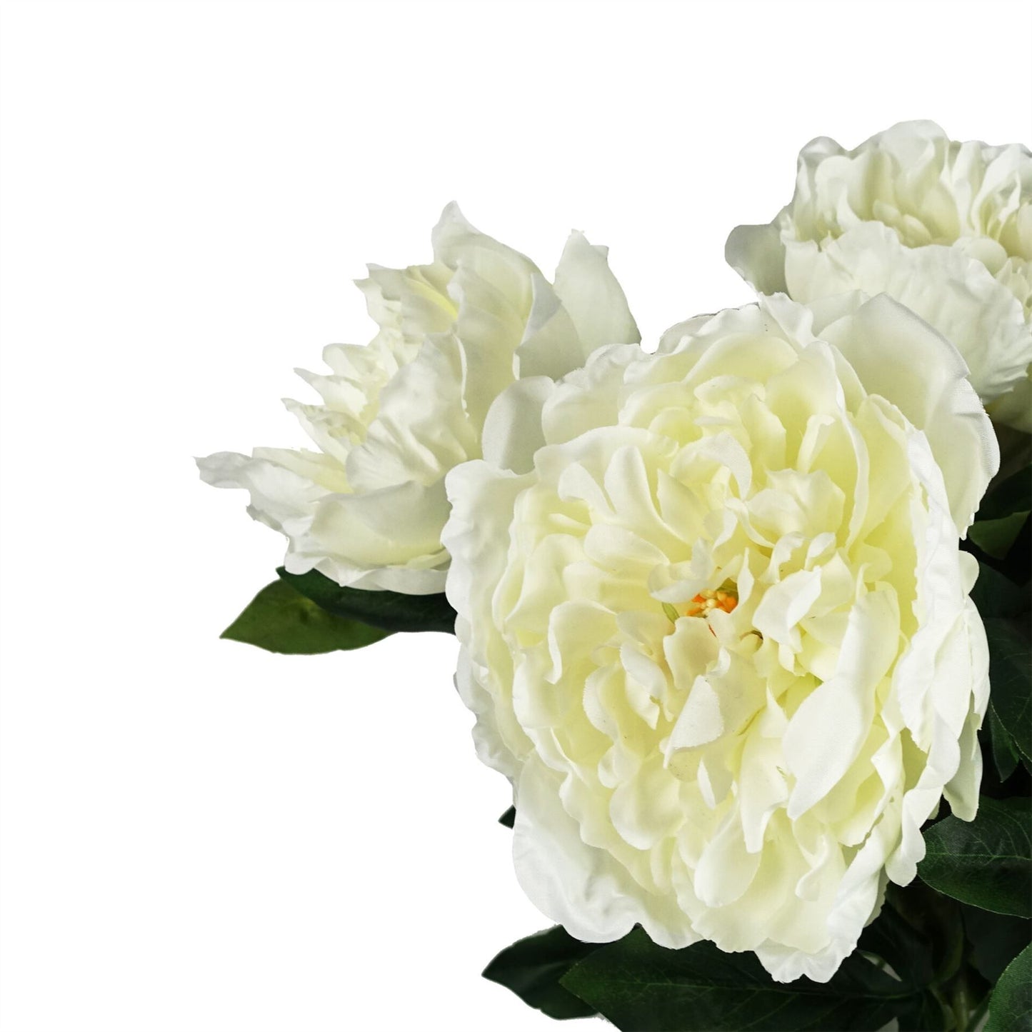 6 x 80cm Medium Artificial White Peony Stems – Realistic Faux Peony Flower Set