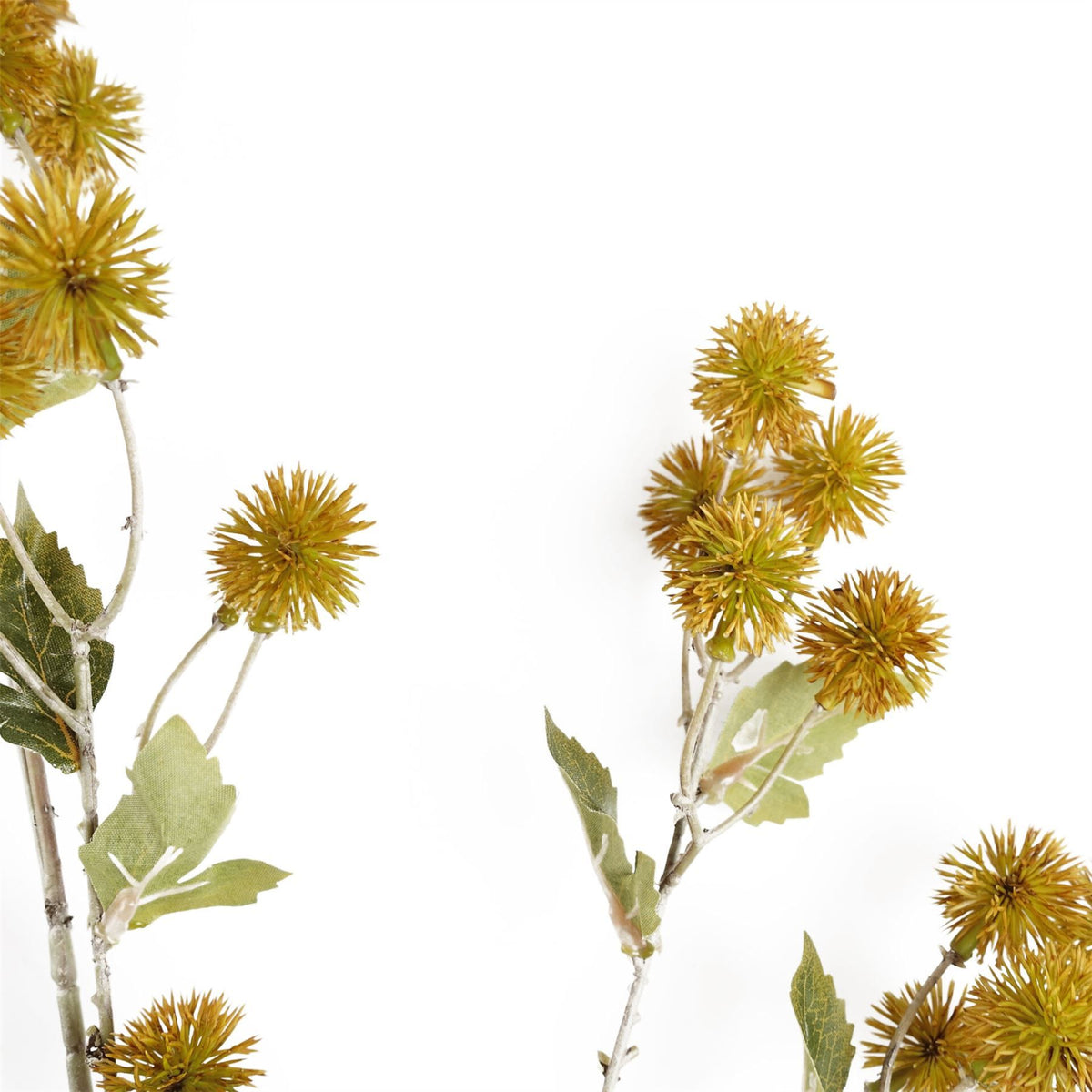 6 x 85cm Medium Artificial Yellow Craspedia Flowers – Realistic Faux Stems