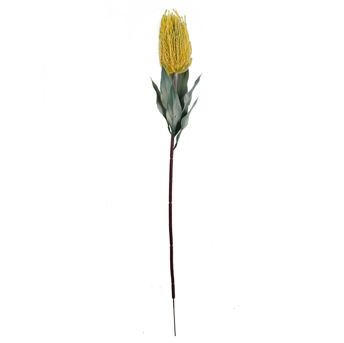 75cm Medium Artificial Yellow Banksia Menziesii Flower – Realistic Faux Stem
