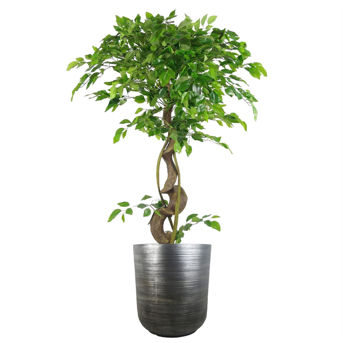 39cm x 33cm Large Silver Ridged Composite Planter – Indoor Plant Pot