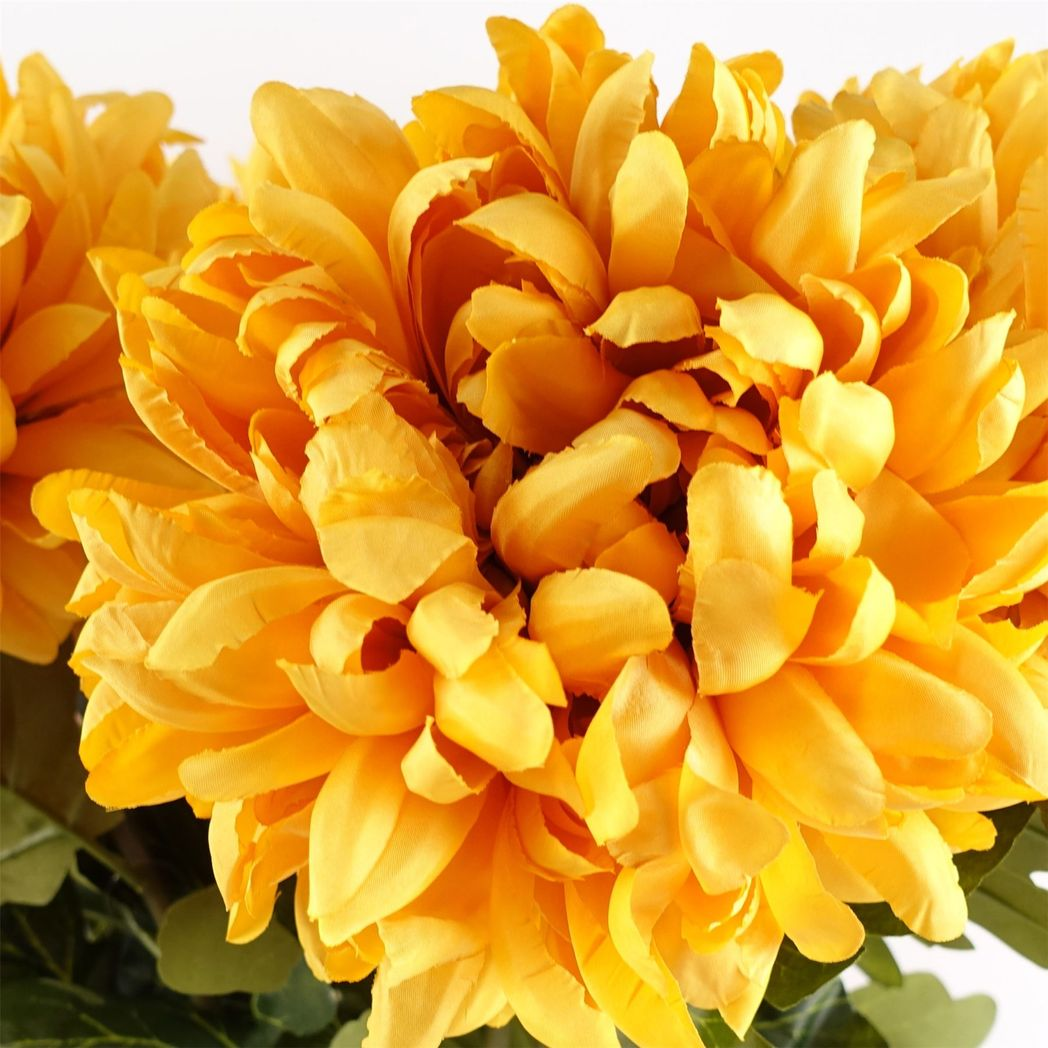 6 x 75cm Medium Artificial Gold Chrysanthemum Stems – Realistic Reflex Flower Set