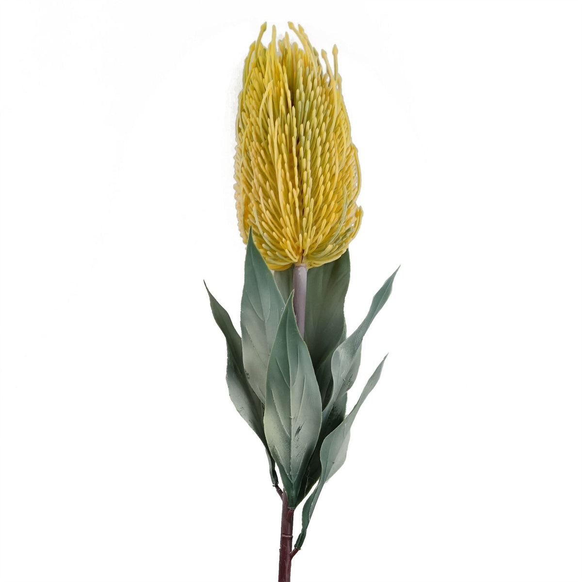 6 x 75cm Medium Artificial Yellow Banksia Flowers – Realistic Faux Stems