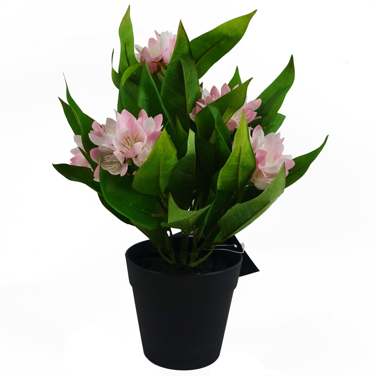 6 x 18cm Small Artificial Freesia Flowers Assorted Colours – Indoor Flowering Plants