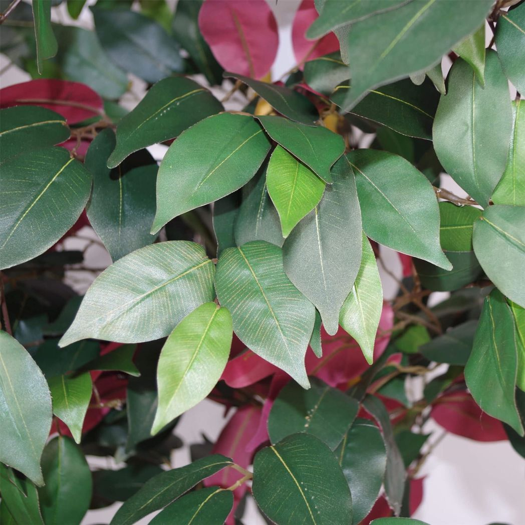 120cm Medium Artificial Capensia Ficus Tree – Realistic Red & Green Foliage Indoor Plant