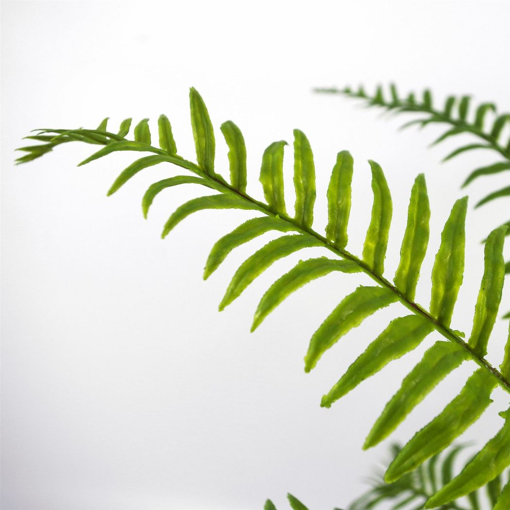 50cm Small Artificial Boston Fern Plant – Faux Fronded Fern
