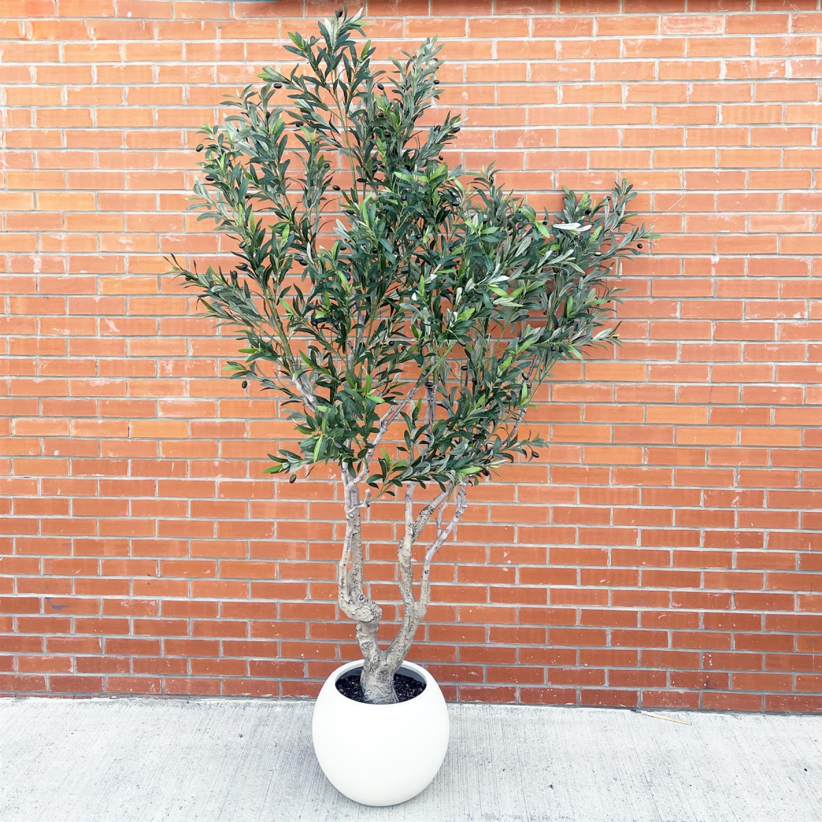 250cm Extra Large Artificial Olive Tree – Realistic Faux Olive Tree with Stone-Style Planter