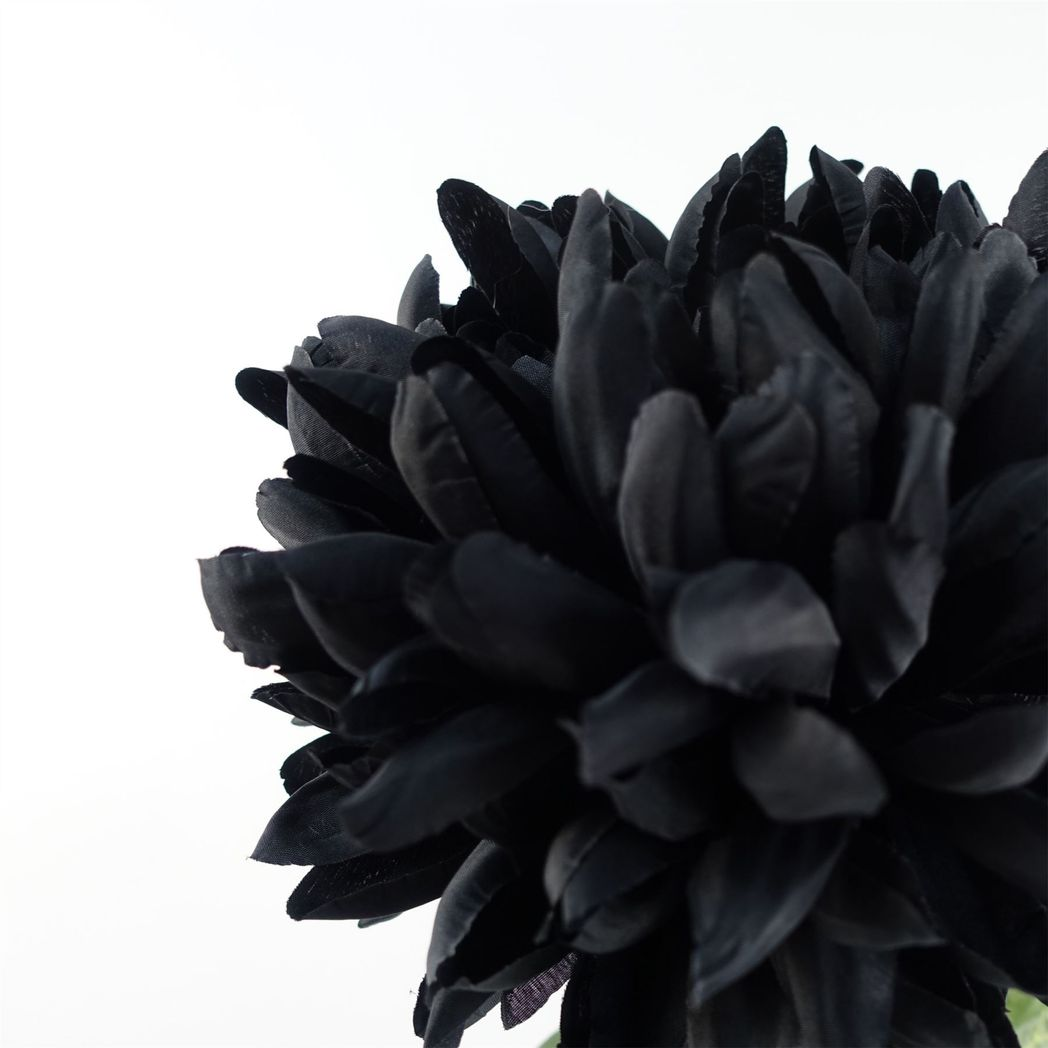 6 x 75cm Medium Artificial Black Chrysanthemum Stems – Realistic Reflex Flower Set