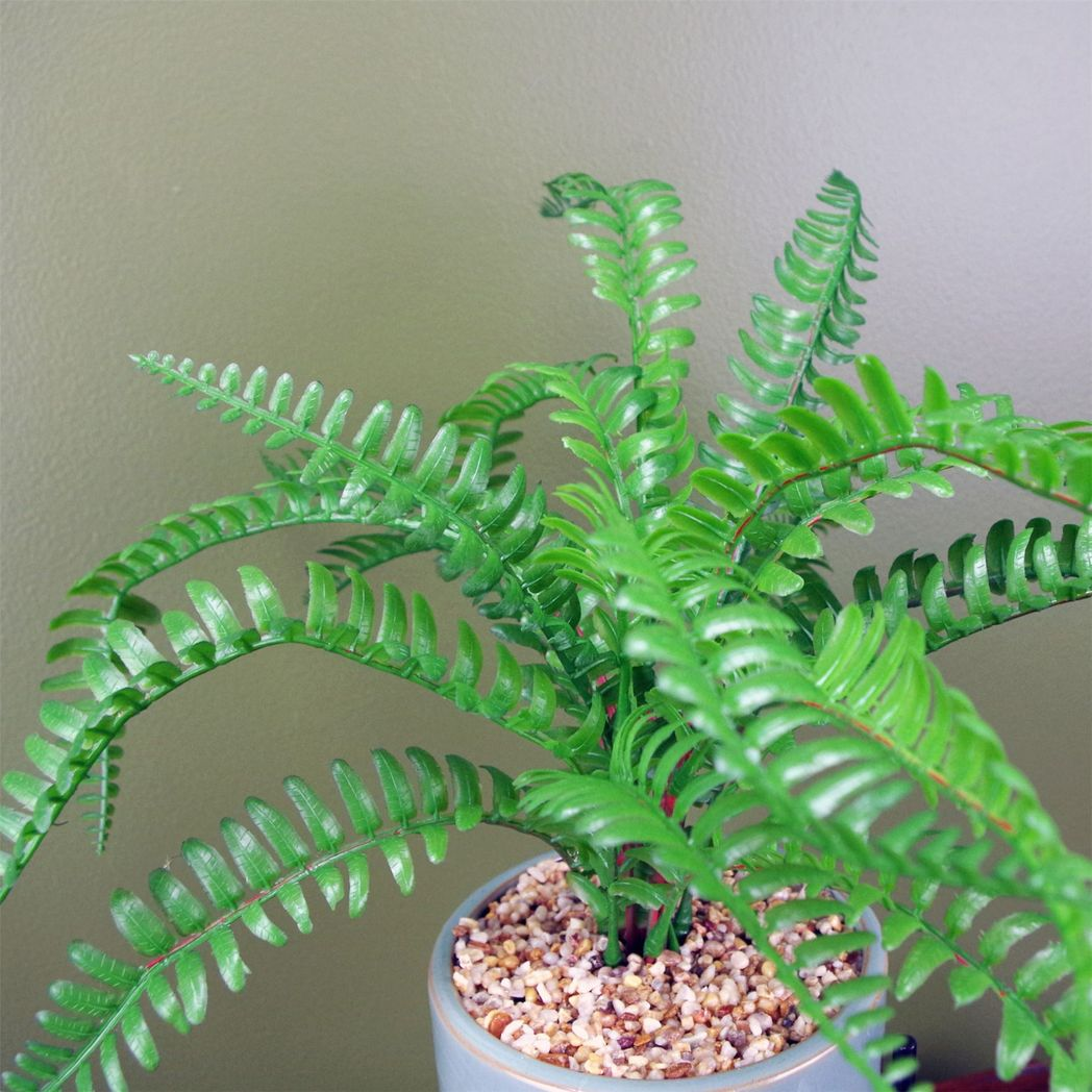 40cm Small Artificial Fern with Ceramic Planter & Stand – Faux Fern Display Plant