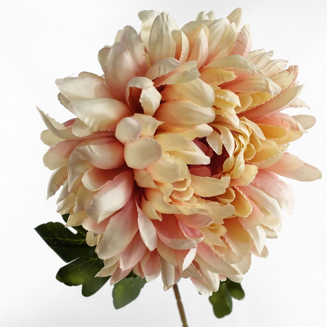 6 x 75cm Medium Artificial Pink Chrysanthemum Stems – Realistic Reflex Flower Set