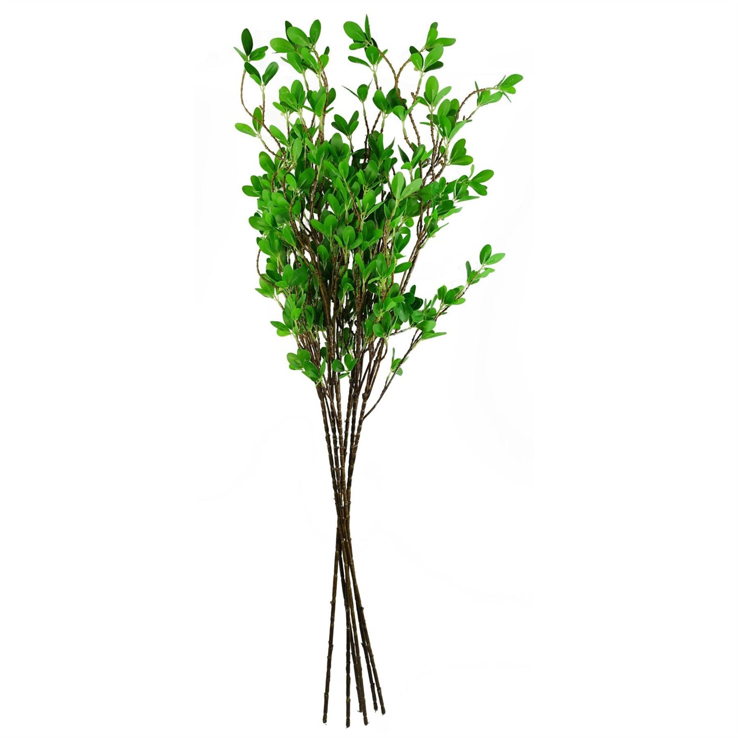 6 x 100cm Artificial Mini Leaf Ficus Plant Stems – Realistic Faux Foliage
