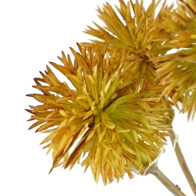 6 x 85cm Medium Artificial Yellow Craspedia Flowers – Realistic Faux Stems