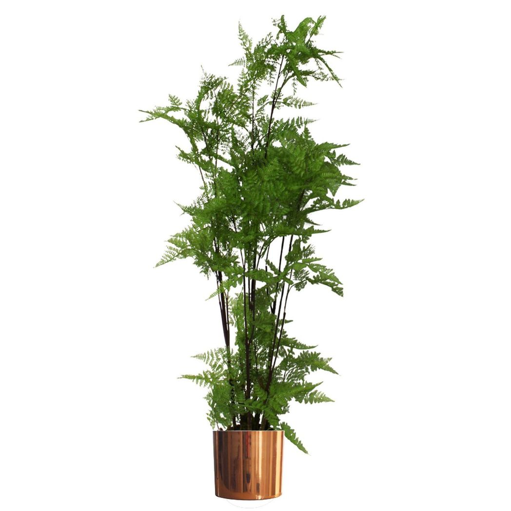 20cm x 18cm Medium Polished Copper Metal Planter – Modern Copper Plant Pot