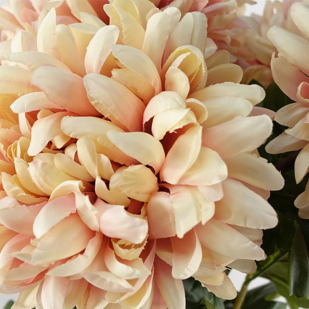 6 x 75cm Medium Artificial Pink Chrysanthemum Stems – Realistic Reflex Flower Set
