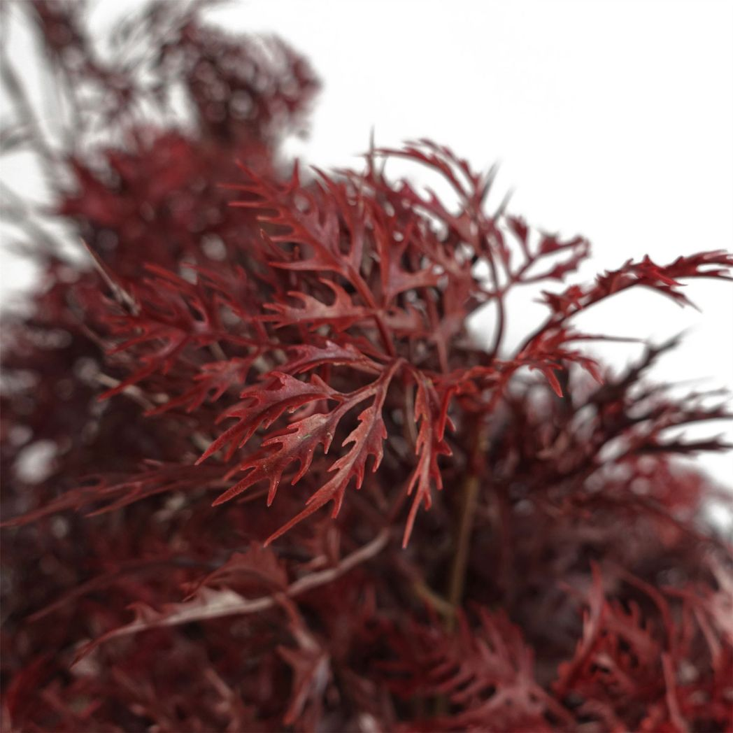 120cm Medium Red Aralia Artificial Tree – UV Resistant Outdoor Tree with Natural Trunk