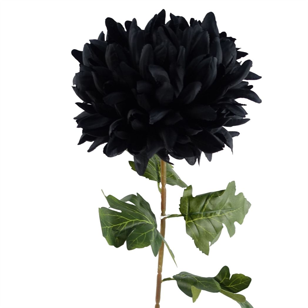 6 x 75cm Medium Artificial Black Chrysanthemum Stems – Realistic Reflex Flower Set