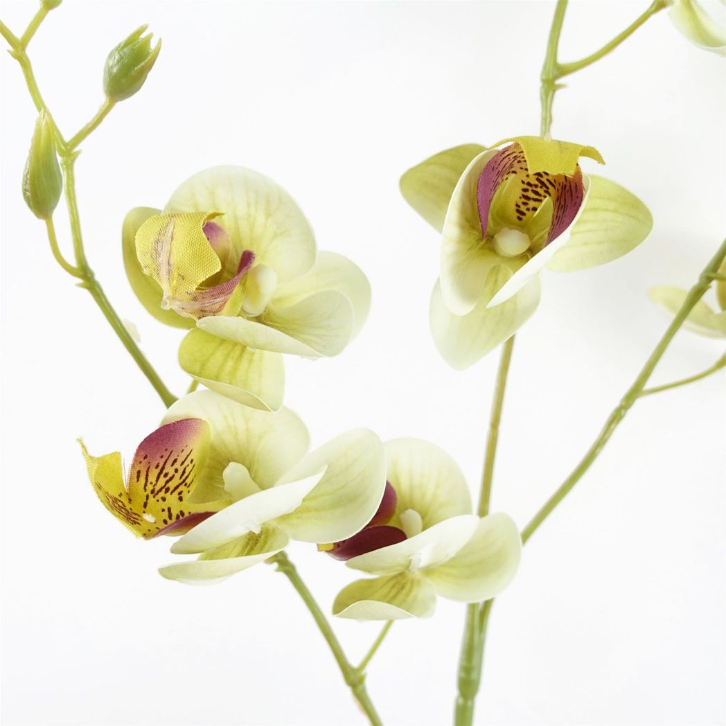 6 x 80cm Artificial Cream Mini Orchid Flowers – Faux Orchid Stems