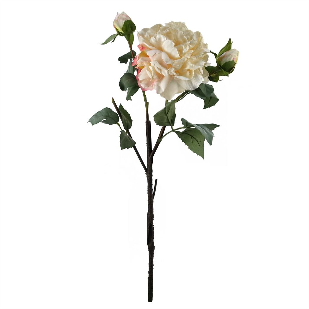 60cm Medium Premium Artificial Cream Peony Stem – Realistic Faux Peony with 1 Flower & 3 Buds