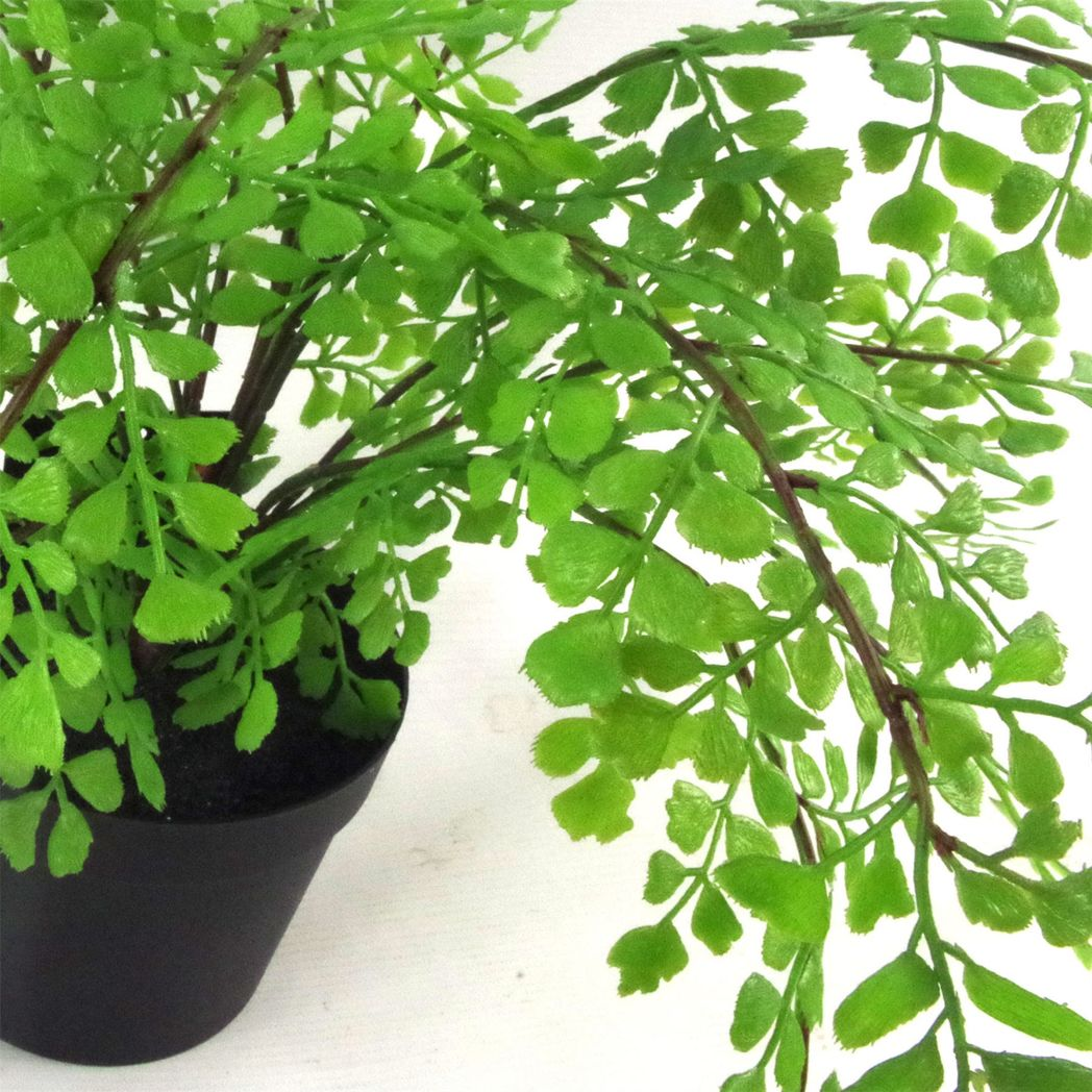 35cm Small Artificial Southern Maidenhair Fern – Potted Faux Fern Plant