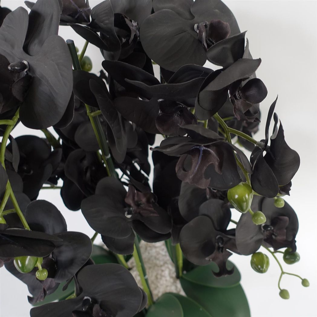 60cm Medium Black Artificial Orchid in White Ceramic Planter – Elegant Realistic Design