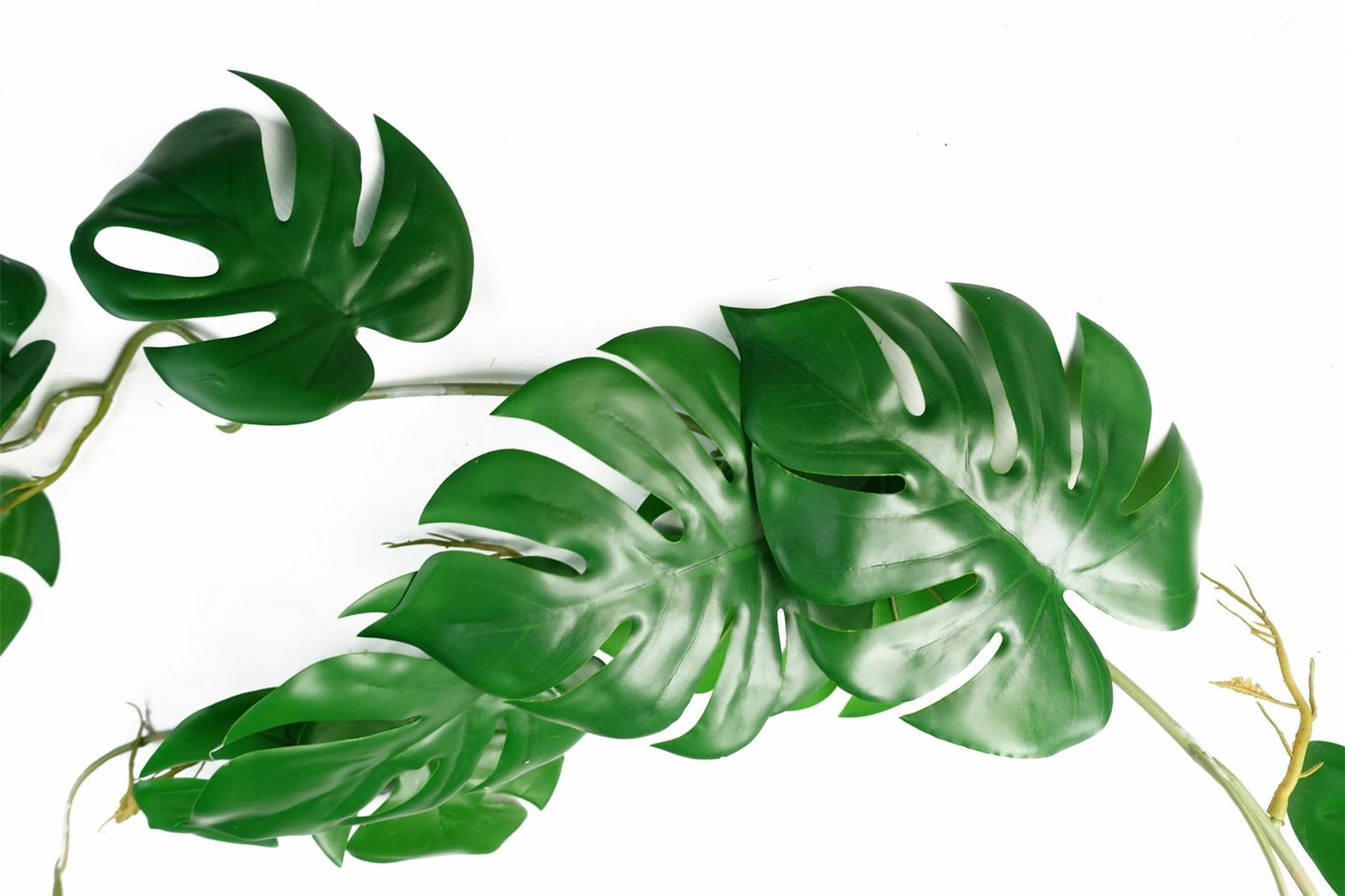 100cm Large Artificial Hanging & Trailing Monstera Plant – Realistic Tropical Greenery