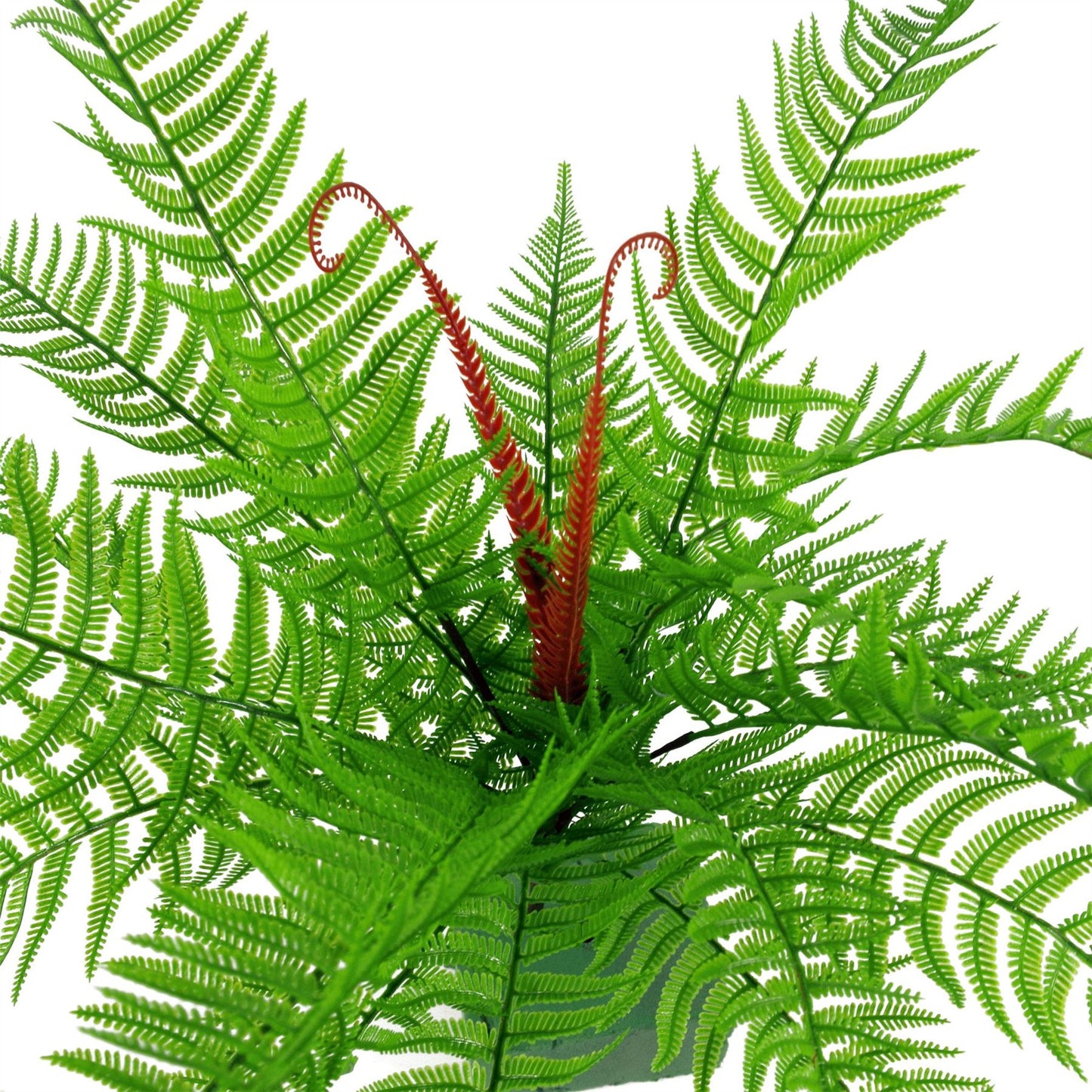 6 x 60cm Medium Artificial Bushy Dixie Wood Fern Plants – Dark Green Faux Fern Set