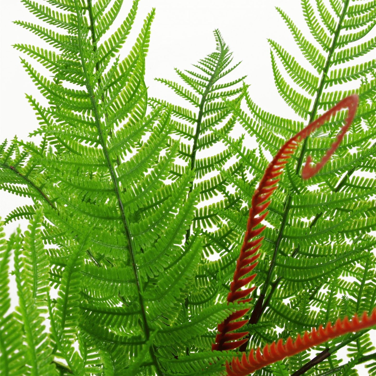 6 x 60cm Medium Artificial Bushy Dixie Wood Fern Plants – Dark Green Faux Fern Set