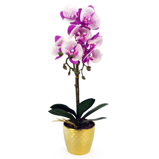 50cm Small Artificial White & Purple Phalaenopsis Orchid in Gold Pot - Realistic Faux Orchid Plant