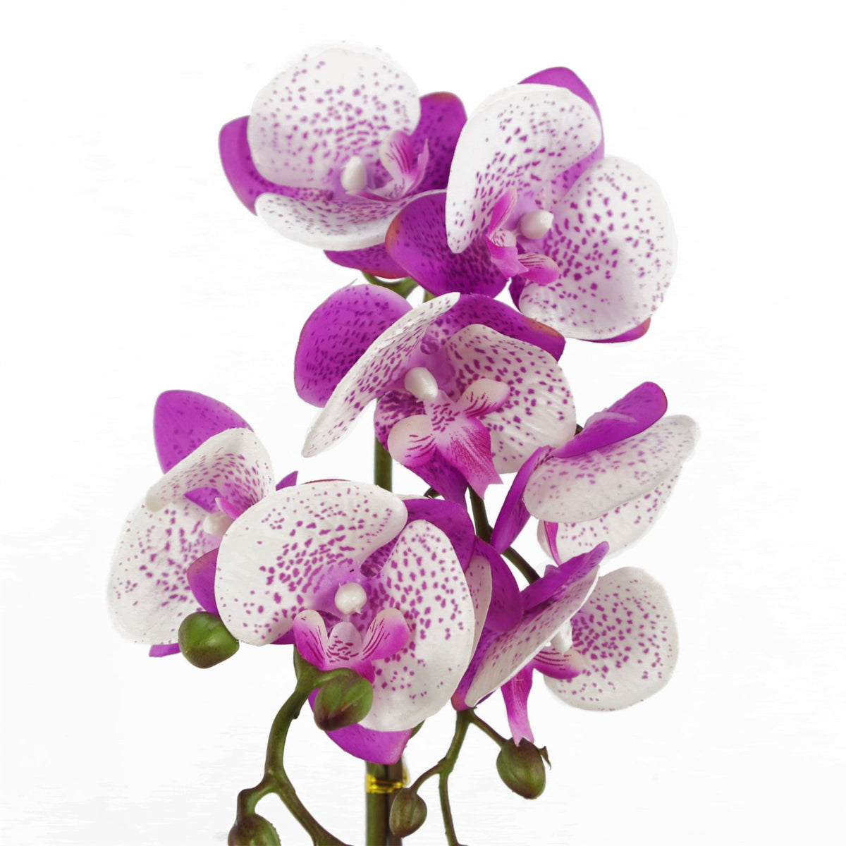 50cm Small Artificial White & Purple Phalaenopsis Orchid in Gold Pot - Realistic Faux Orchid Plant