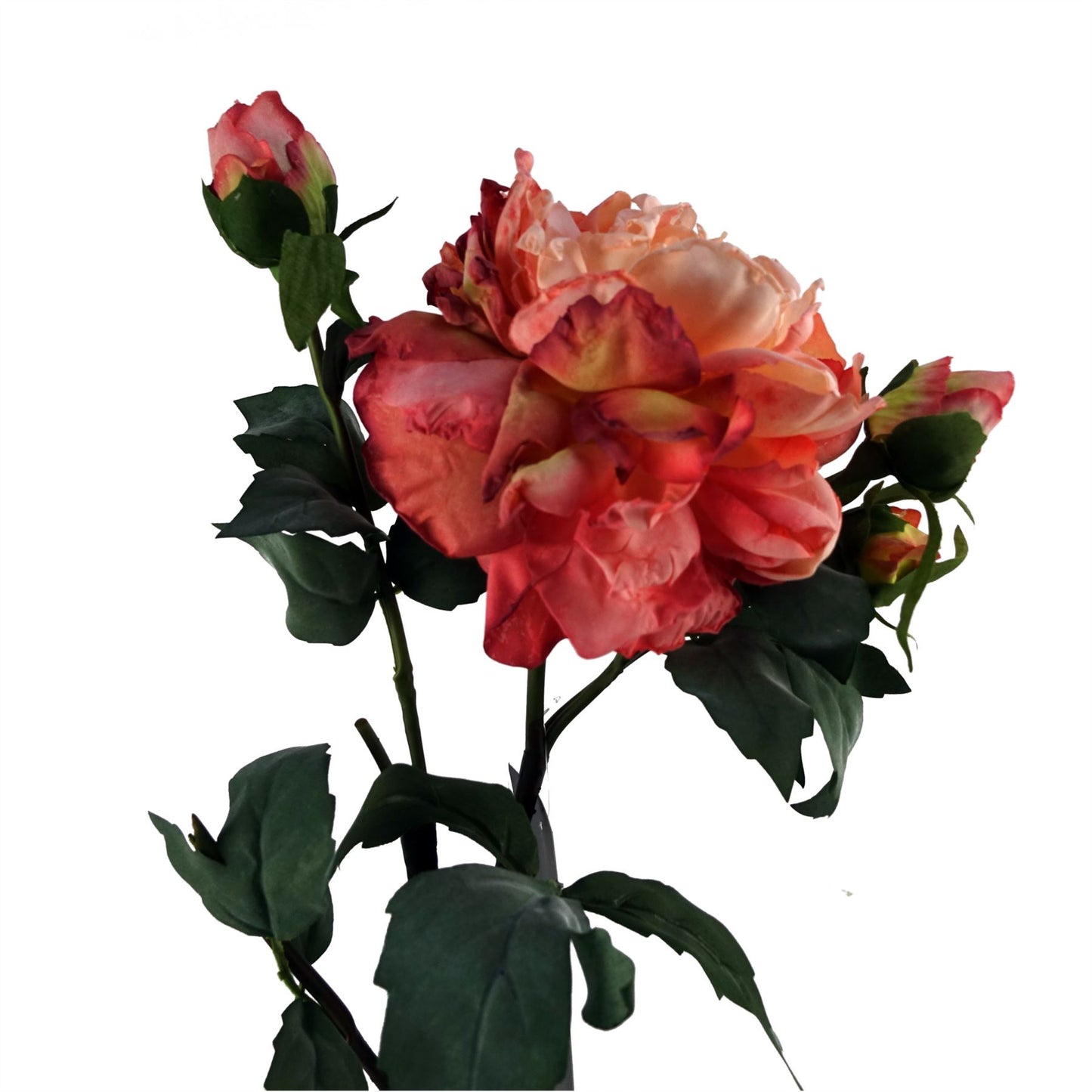 6 x 60cm Medium Premium Artificial Pink Peony Stems – Realistic Faux Peony Flower Set with 6 Blooms & 18 Buds